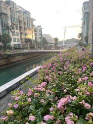 Caribbean At Keppel Bay (D4), Condominium #496374721